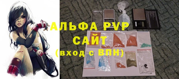 стаф Богородск